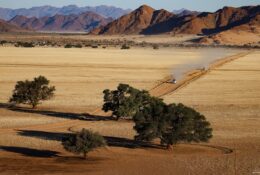 Namibia_April_2025 (59/79)